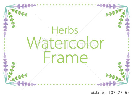 アロマに使われるハーブ・植物のイラスト・フレーム。ベクター素材 107327168
