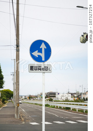 指定方向以外進行禁止の道路標識 107327254