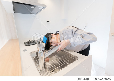 キッチン　水栓の点検・修理 107327625