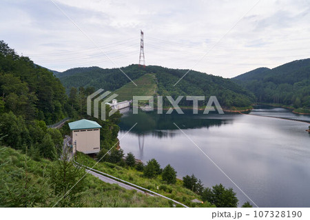 山梨県　琴川ダムと乙女湖 107328190