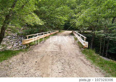 長野県　川上牧丘林道 107328306