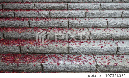 石の階段に落葉した濃紅色のモミジ葉 石の階段に落葉した濃紅色のモミジ葉 107328323