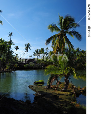 ハワイ島 マウナラニ フィッシュポンド ハワイ島 マウナラニ フィッシュポンド 107328326