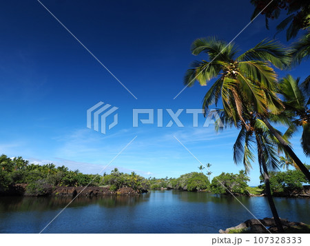 ハワイ島　マウナラニ　フィッシュポンド 107328333