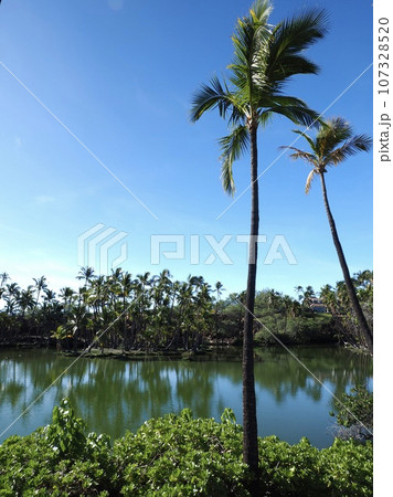ハワイ島 マウナラニ フィッシュポンド ハワイ島 マウナラニ フィッシュポンド 107328520
