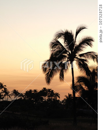 ハワイ島のマジックアワー 107328718