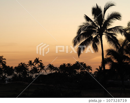 ハワイ島のマジックアワー ハワイ島のマジックアワー 107328719