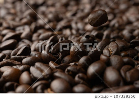 コーヒー豆 コーヒー豆 107329250