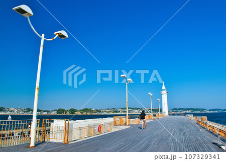 江の島　湘南大堤防　湘南港灯台の風景 107329341