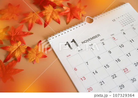 11月のカレンダー 11月のカレンダー 107329364