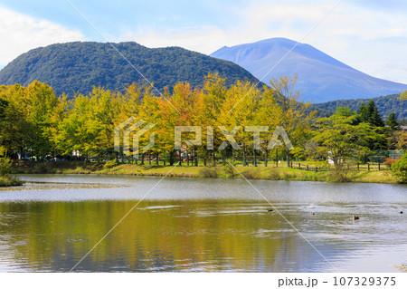 秋の訪れを感じる軽井沢の矢ヶ崎公園の風景 秋の訪れを感じる軽井沢の矢ヶ崎公園の風景 107329375