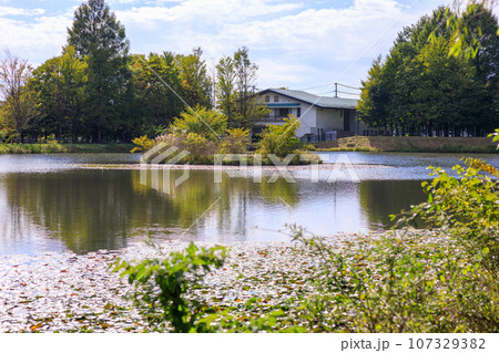 秋の訪れを感じる軽井沢の矢ヶ崎公園の風景 107329382