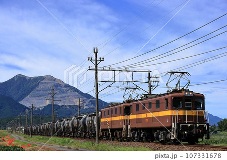 藤原岳と三岐鉄道貨物列車 107331678