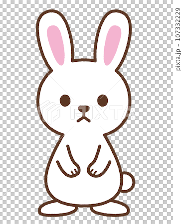 rabbit white rabbit white 107332229