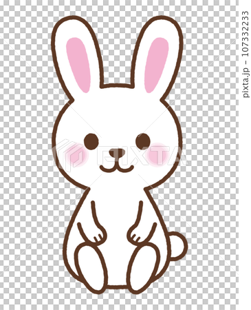 坐兔白笑 107332233