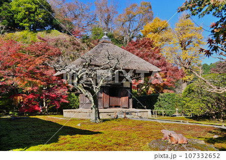 秋12月 北鎌倉長寿寺を彩る紅葉と青空 観音堂を包む 秋12月 北鎌倉長寿寺を彩る紅葉と青空 観音堂を包む 107332652