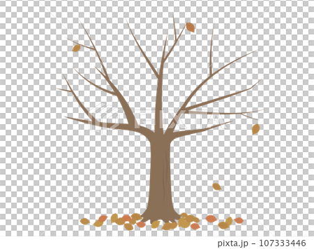 落葉した木のイラスト 107333446
