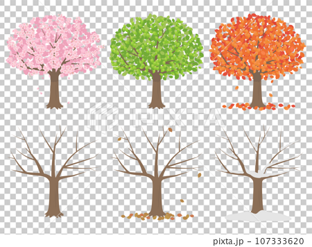 不同季節樹木的插圖集 107333620