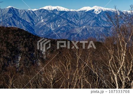 毛無山稜線から見る南アルプスの山並みの写真素材 [107333708] - PIXTA