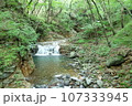 渓流 107333945