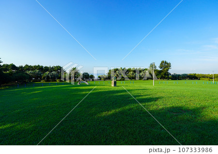 海辺のフェニックス　三番瀬海浜公園（千葉県船橋市） 107333986