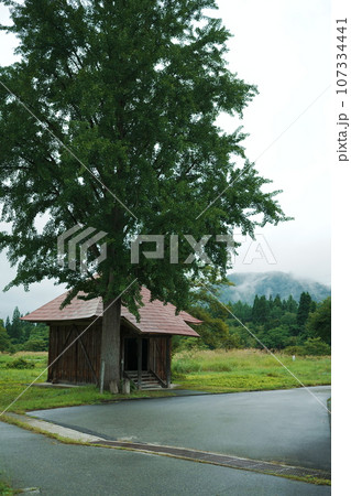 イチョウの木のあるお堂 イチョウの木のあるお堂 107334441