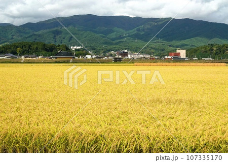 陸前高田市 岩手県 三陸 2023 東日本大震災 復興 陸前高田市 岩手県 三陸 2023 東日本大震災 復興 107335170