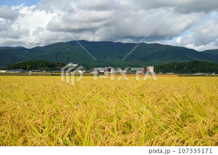 陸前高田市 岩手県 三陸 2023 東日本大震災 復興 陸前高田市 岩手県 三陸 2023 東日本大震災 復興 107335171