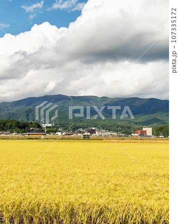 陸前高田市　岩手県　三陸　2023　東日本大震災　復興 107335172