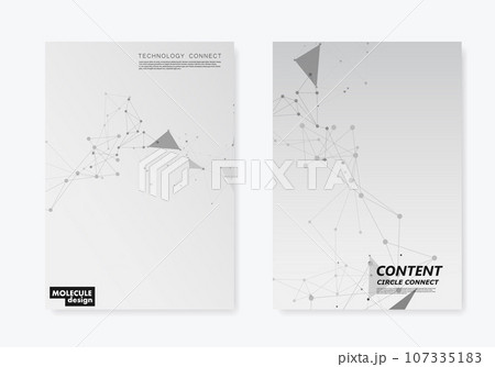 Abstract polygonal with connecting dots and lines. Molecule tech digital line. Network polygon triangle. Node plexus illustration. Vector background Abstract polygonal with connecting dots and lines. Molecule tech digital line. Network polygon triangle. Node plexus illustration. Vector background 107335183