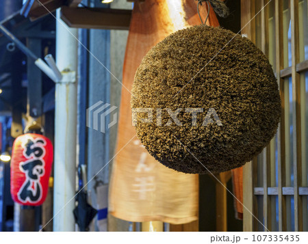 杉玉 杉玉 107335435