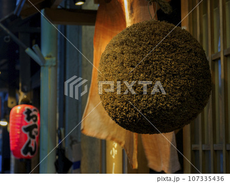 杉玉 杉玉 107335436