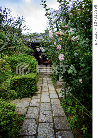 鎌倉9月 瑞泉寺13 鎌倉9月 瑞泉寺13 107335599
