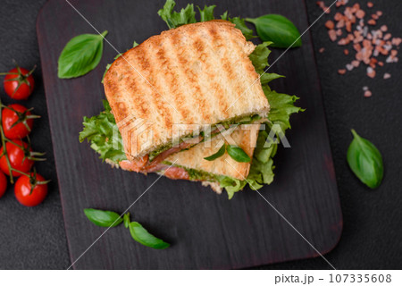 Delicious crispy sandwich with toast, salmon, avocado, tomatoes, salt, spices and herbs 107335608