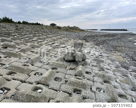 富山県入善町古黒部地区の海岸線の様子 107335902