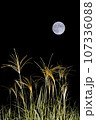 中秋の名月 107336088