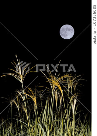 中秋の名月 中秋の名月 107336088