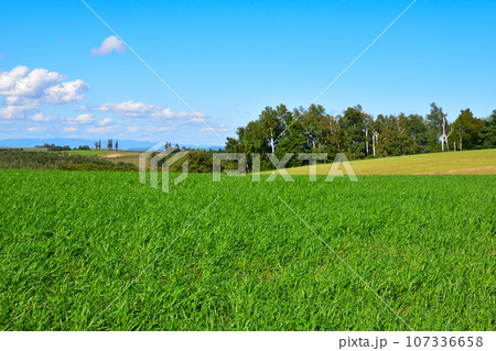 丘のまち　美瑛町　 107336658