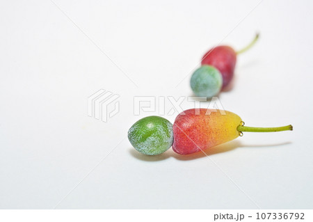 緑ロと赤色のイヌマキの実（白背景）（秋、九月） 107336792