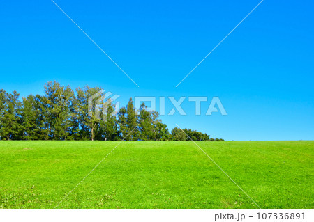 草原の丘 草原の丘 107336891