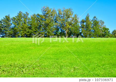 草原の丘 107336971