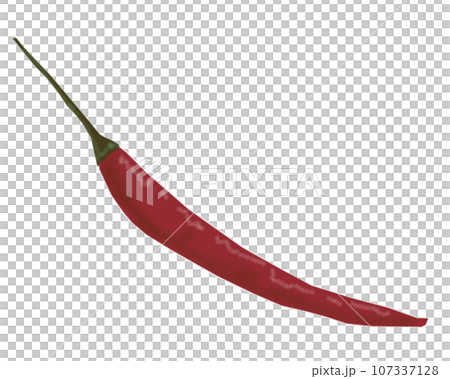 Thai pepper 107337128