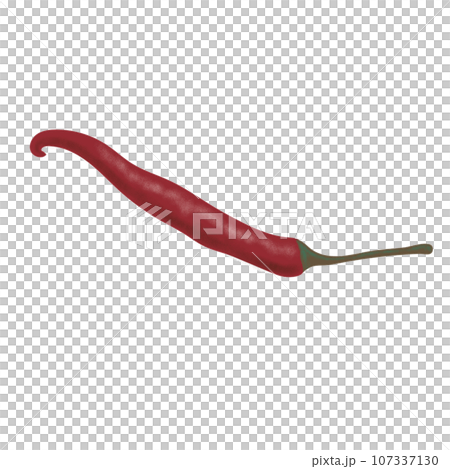 Thai pepper 107337130