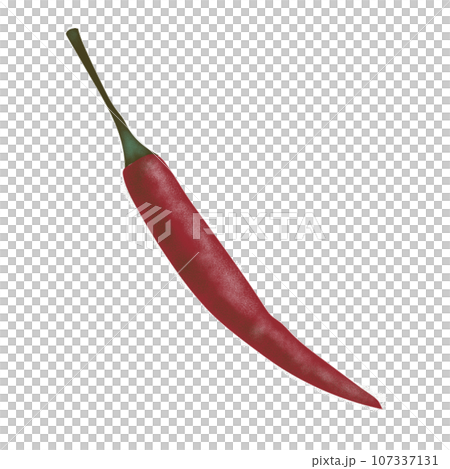 Thai pepper 107337131