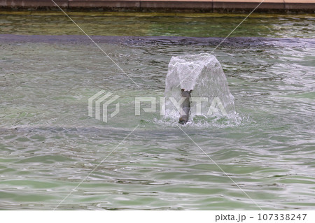 【噴水】公園での休憩に噴水の様子 【噴水】公園での休憩に噴水の様子 107338247