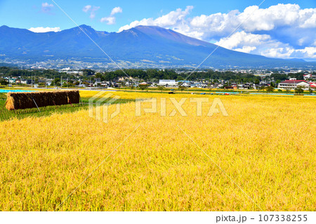 佐久市根岸より浅間山方面を望む(長野県佐久市)【2023.9】 107338255