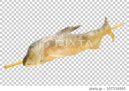 Salt-grilled salmon 107338895