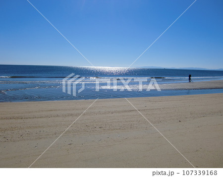 浜辺の風景 浜辺の風景 107339168