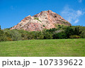 昭和新山 107339622