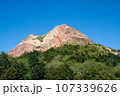 昭和新山 107339626